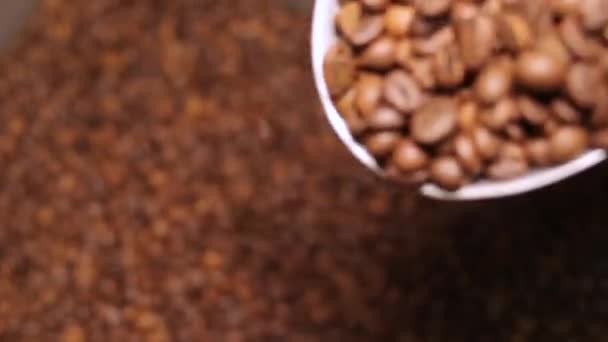 Egy zsák, pörkölt kávé kávé kezek — Stock videók