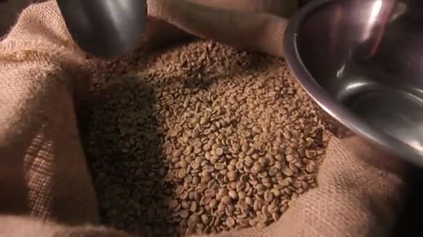 Manos de café en una bolsa, café tostado — Vídeos de Stock