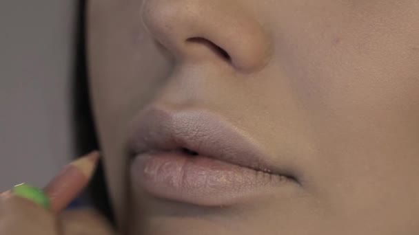 Maquillaje artista pinta los labios a hermosa chica, rellenar los labios — Vídeos de Stock