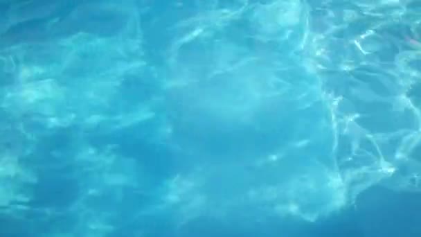 Lány úszik a medencében a víz alatt — Stock videók
