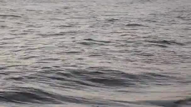 Freinage en mer contre des pierres et des cailloux sur une plage, vagues d'eau pure — Video