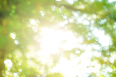 Doğal Bokeh, bulanık bokeh