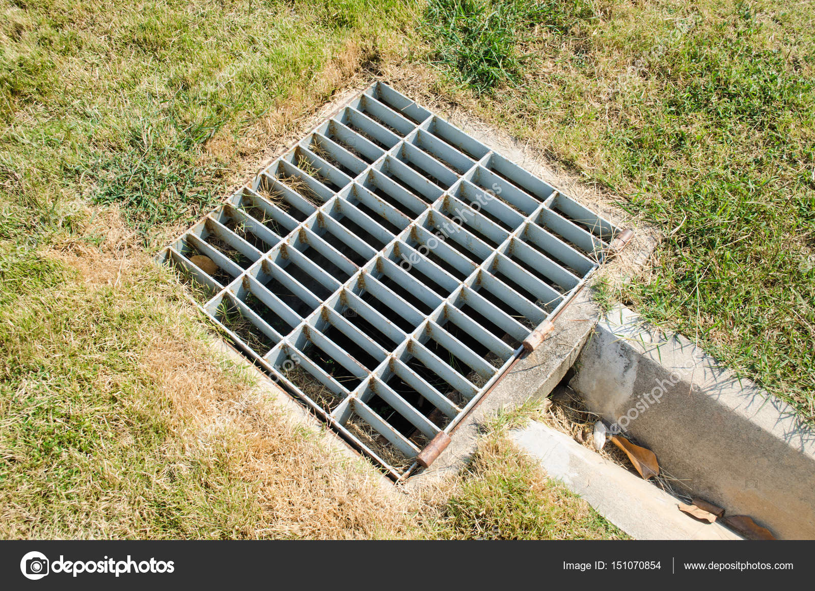Sewer Grate Off The Turf Stock Photo By C Photobyphotoboy