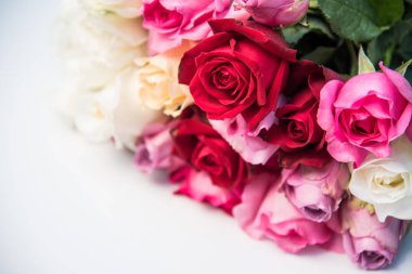 Renkli gül beyaz zemin üzerine yerleştirilir 