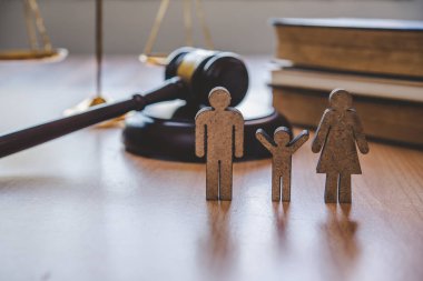 Avukat Adaleti Ölçüyor - İnsan Hakları Kanunu Kavramları