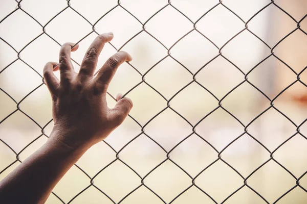 Hands and Steel Cage — Stock Photo, Image