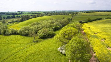 Cotswolds kırsal İngiltere'de kırsal kesimde sarı alanları, yeşil çayırlar tepeler haddeleme