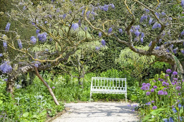 Jardin paysager romantique avec fleurs, herbes, arbres et siège blanc — Photo
