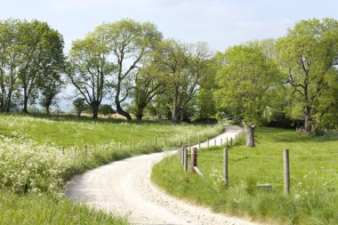 Bir İngiliz yeşil kırsalında Hiking trail