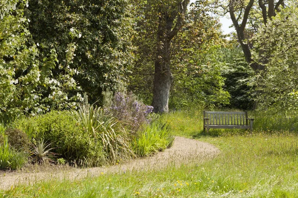 Весенний сад с деревянной скамейкой у тропинки — стоковое фото