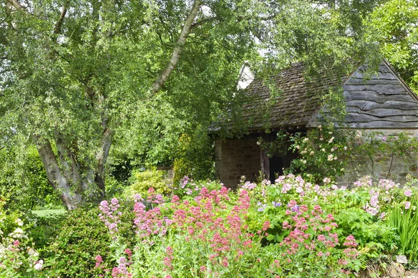 Jardin verdoyant luxuriant avec fleurs en fleurs — Photo