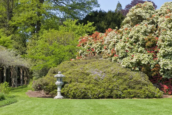Jardín con flores de colores, árboles de hojas verdes y pinos frescos, arbustos, topiario, linterna de piedra — Foto de Stock