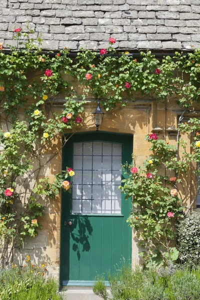 Zöld ház ajtók piros rosebush — Stock Fotó