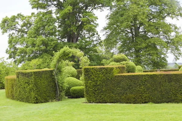 Jardín de verano con valla de setos recortada y arco a un jardín topiario  . —  Fotos de Stock