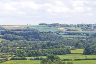 Tepeler bir İngilizce kırsal kesimde