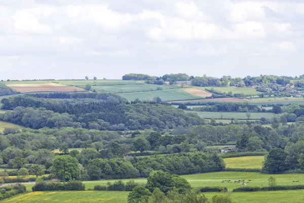 Zvlněné kopce v anglickém venkově — Stock fotografie