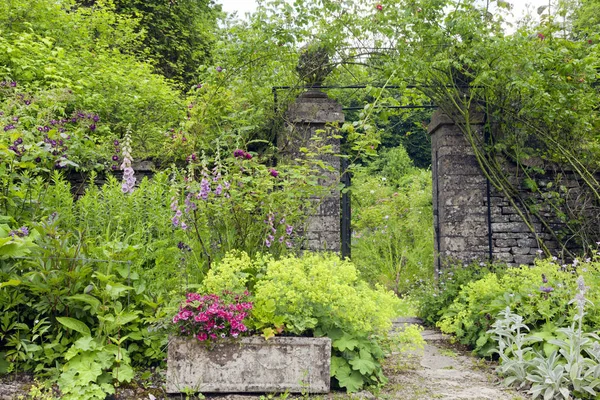 Puerta abierta a un jardín inglés, exuberante y floreciente, en un día de verano . — Foto de Stock