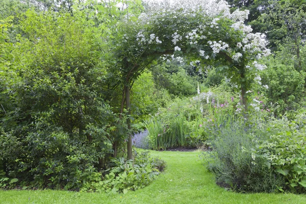Arco de rosa branco em um jardim de casa de campo de verão — Fotografia de Stock
