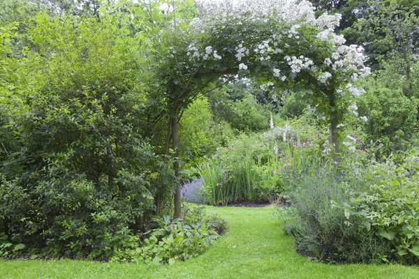 White rose arch in a summer cottage garden — Stock Photo, Image