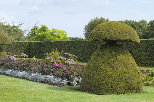 Topiary zahrada s letní rostliny, keře, stromy, vysoký živý plot . — Stock fotografie