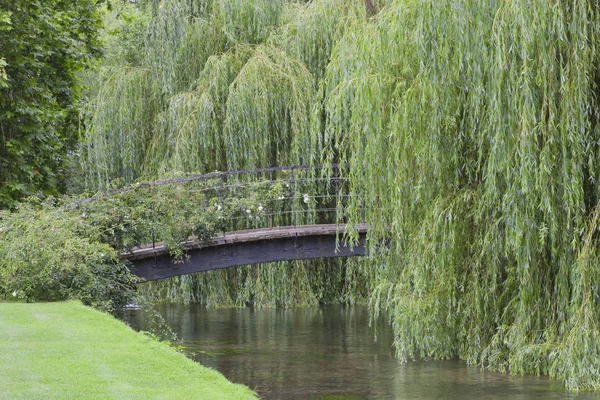 Demir köprü nehir kıyısında bir park arazi ağlayan willows ile üzerinde .