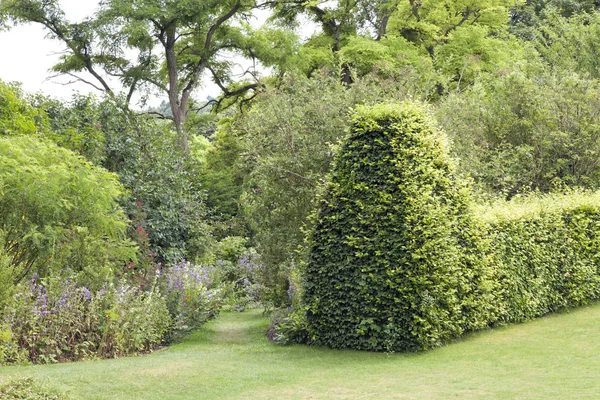 Sendero a través de flores y setos recortados, en un jardín de casa de campo de verano  . — Foto de Stock