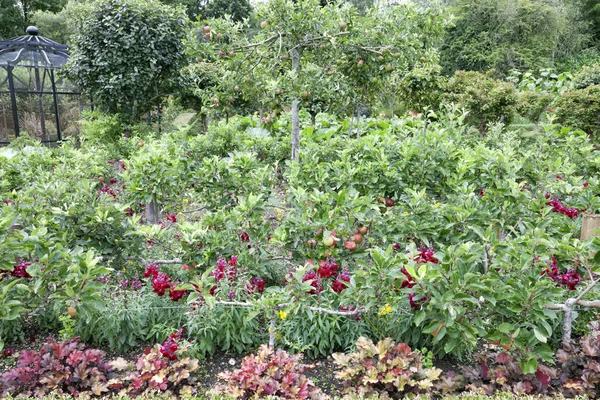 Warzywa i owoce ogrodowe z małych jabłonie rosnące między kwiaty . — Zdjęcie stockowe