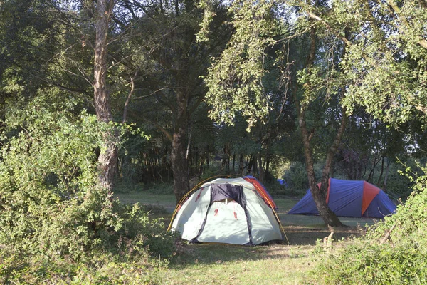 Bunte Zelte unter Bäumen auf einem Waldcampingplatz — Stockfoto