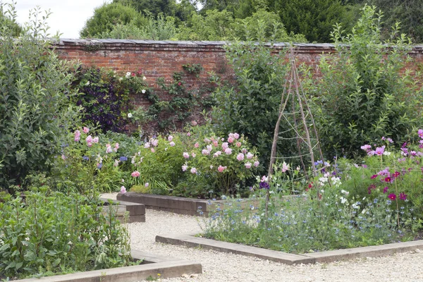 Jardin d'été avec arbres fruitiers, fleurs en fleurs, herbes — Photo