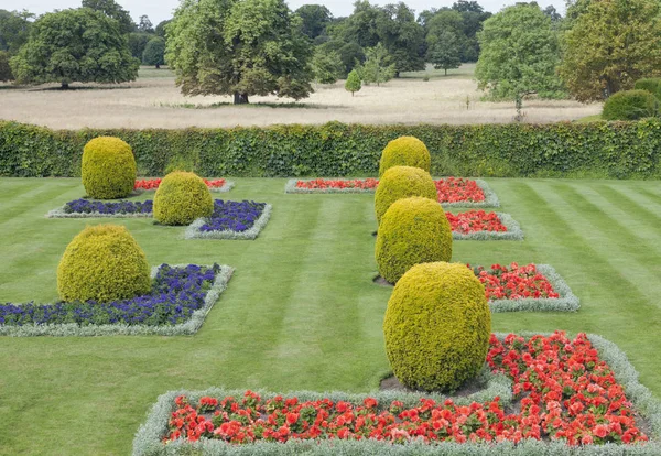 Obdélníkové záhony, kužel formoval topiary zajišťované zahradě v anglickém venkově . — Stock fotografie