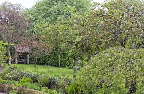 English Garden Sheltered Wooden Bench Mature Trees Plants Summer Day — Stock Photo, Image