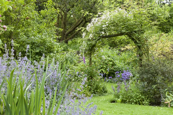 Πολύχρωμο Καλοκαιρινό Κήπο Στην Άνθιση Λευκό Ανθήσεως Τριαντάφυλλο Τόξο Φυλλώδη — Φωτογραφία Αρχείου