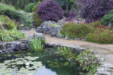 Kayalık bahçede çiçekler, çalılar ve ağaçlar ile küçük su havuzu, İngiliz kırsal, yaz .