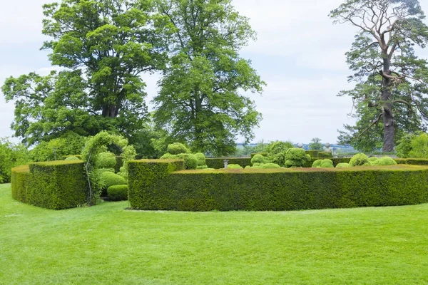 Zahrada Topiary Sekce Ohraničená Opracovaný Plot Vchod Přes Růže Podloubí — Stock fotografie