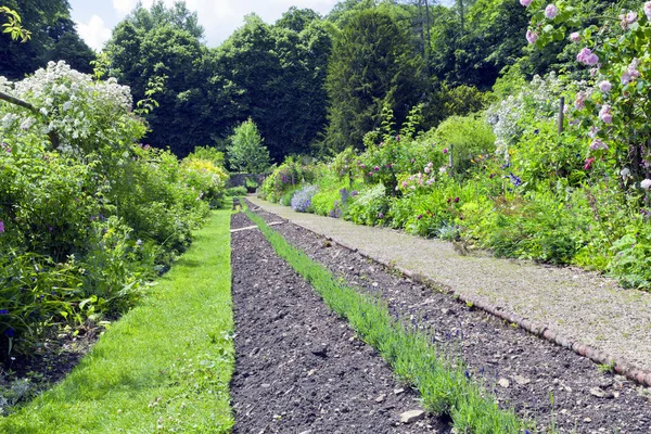 Chodnik Przez Angielski Ogród Letni Lawendy Środku Róże Kwiaty Domek — Zdjęcie stockowe