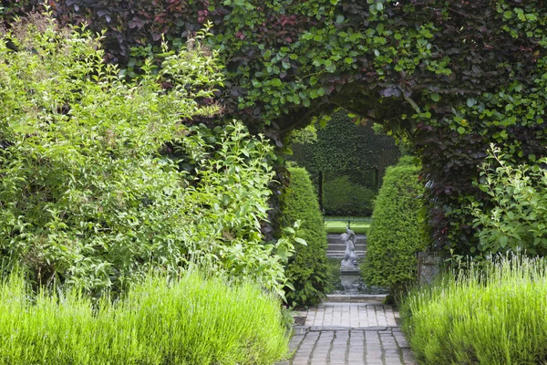 Arco Seto Recortado Través Lavanda Floreciente Que Conduce Estanque Con — Foto de Stock