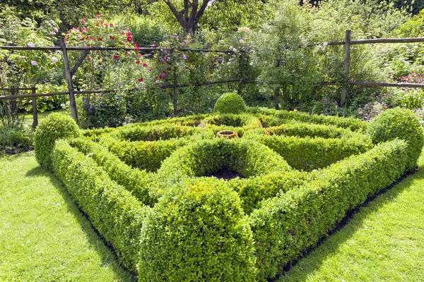 Evergreen Boxus Topiary Cuadrado Forma Bola Diseño Ornamental Jardín Ajardinado —  Fotos de Stock