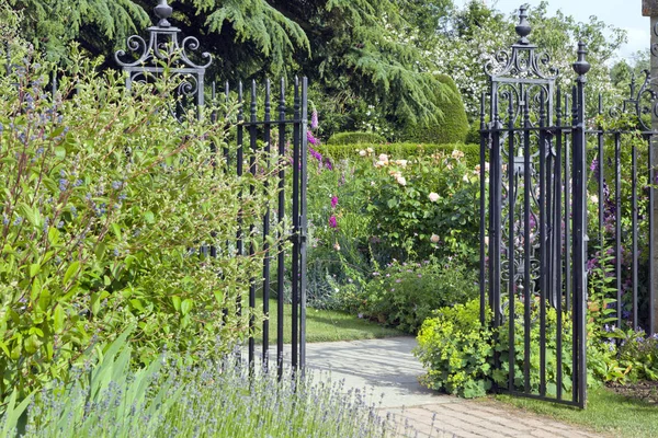 Open iron gate in an English summer garden full of cottage flowers, shrubs in bloom, by a trimmed hedge and mature conifer tree .