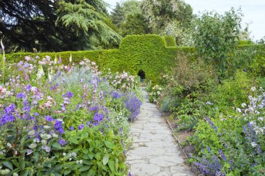 Taş yolunu kullanarak pembe, mavi çiçekler ve peyzajlı yaz İngilizce bahçe çit duvar süs .