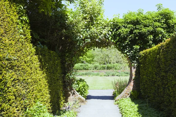 Walking Path Yew Hedges Circle Gate Overgrown Ivy Open Garden — Stock Photo, Image