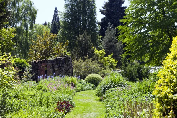 夏日的艳阳天 在一个浪漫的英国花园 草木丛中绽放 草木繁茂 — 图库照片