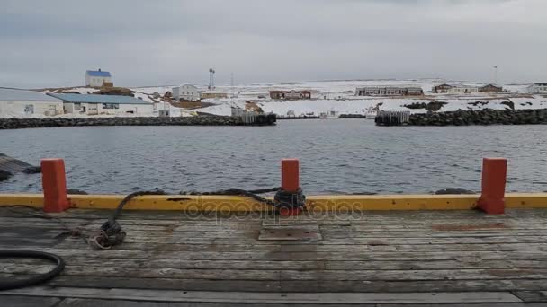 Порт на острове Гримси. Исландия . — стоковое видео