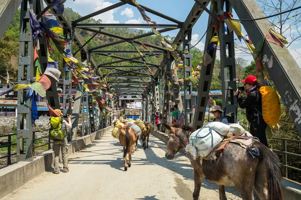Annapurna Trek, Nepal, yolcuları Poon Hill'e köprü