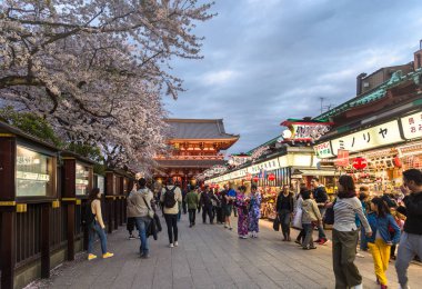 Tokyo, Japonya tapınakta yalnızca içerik kullanımı