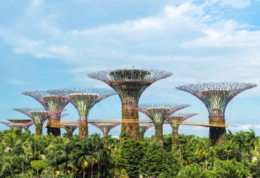 Supertrees Grove Gardens Körfez, Singapur