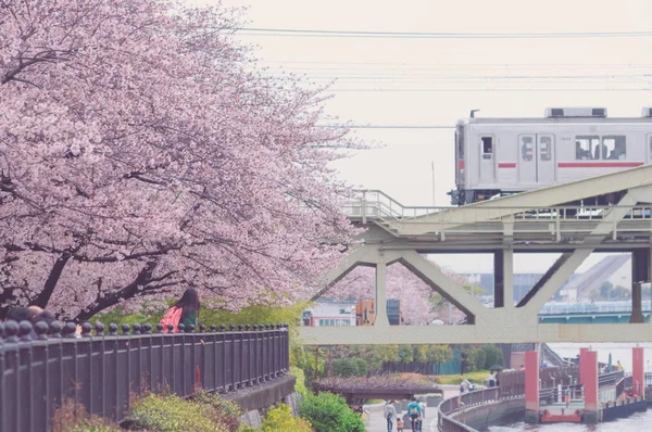 東京ローカル電車のヴィンテージカラートーンビュー — ストック写真