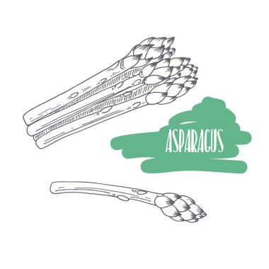 Beyaz izole elle çizilmiş kuşkonmaz. Kroki tarzı sebze pazarı, mutfak veya gıda ambalaj tasarımı için dilimleri ile