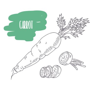 Elle çizilmiş havuç üzerine beyaz izole. Kroki tarzı sebze pazarı, mutfak veya gıda ambalaj tasarımı için dilimleri ile