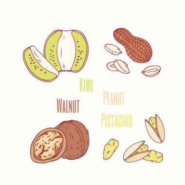 Tatlı Topingler kivi, fıstık, ceviz ve fıstık kümesi. Elle çizilmiş gıda