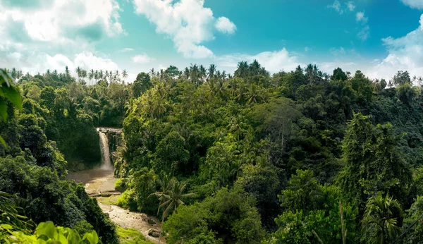Şelale panorama Amazon tropikal yağmur ormanlarında orman ortasında büyük Nehri ile